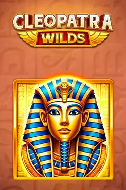 Gioco di Slot4